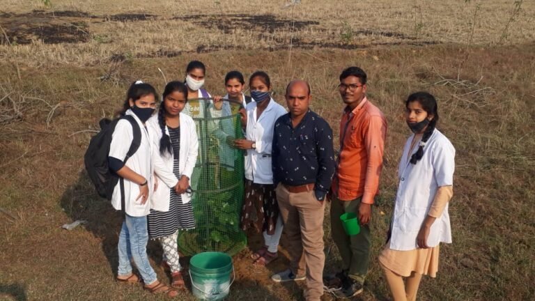 पेड़ पौधे होते है कार्बन सिंक : प्रो. लोकनाथ साहू शासकीय महाविद्यालय नवागढ़ में वनस्पति कार्यशाला का आयोजन